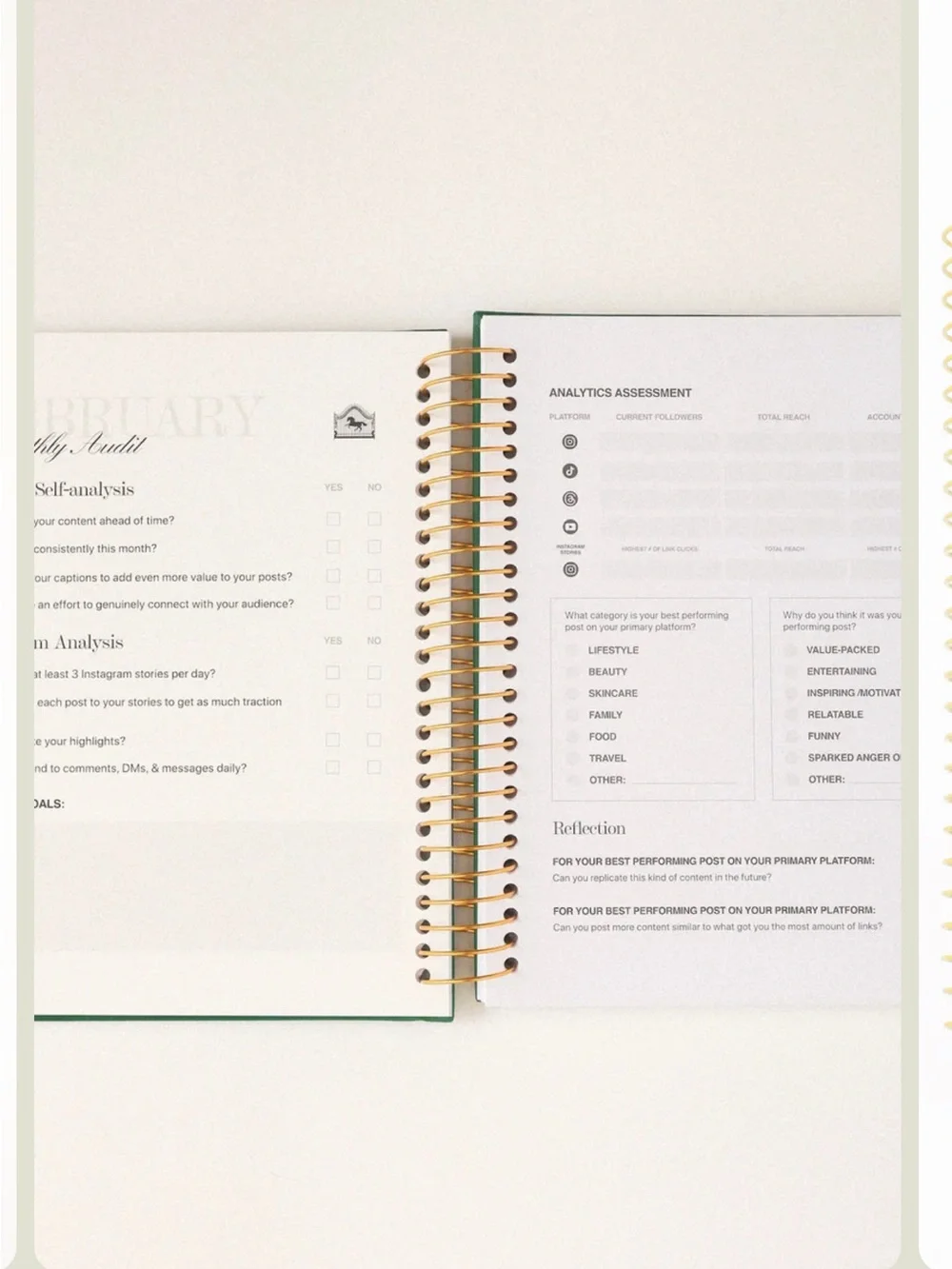 NWT WORKHORSE LIMITED EDITION MILKY PINK Social Media PLANNER Undated